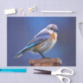 Blauwvogel (Vrouw) Schilderen - Oorspronkelijke vo Tissuepapier (Craft)