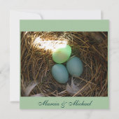 Blauwvogeleieren driemaal (Voorkant)