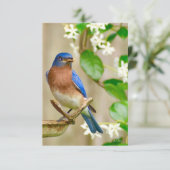 Blauwvogelkaart Natuur Bedankkaart (Staand voorkant)