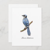 Blauwvogelkaartje Bedankkaart (Voorkant / Achterkant)