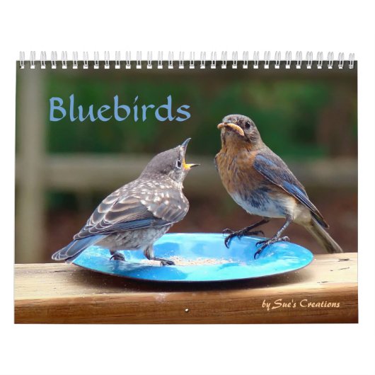 Blauwvogelkalender Kalender (Hoes)