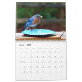 Blauwvogelkalender Kalender (Mar 2027)