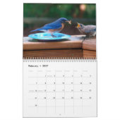 Blauwvogelkalender Kalender (Feb 2027)