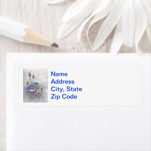 Blauwvogellabels Etiket (Insitu)