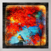 Blauwvogellied, poster (Voorkant)