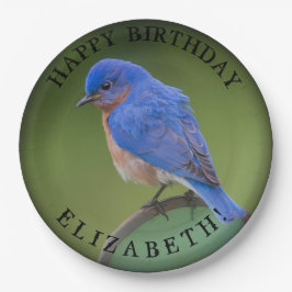 Blauwvogelpapieren Bord met naam en geboortedag