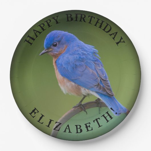 Blauwvogelpapieren Bord met naam en geboortedag (Voorkant)