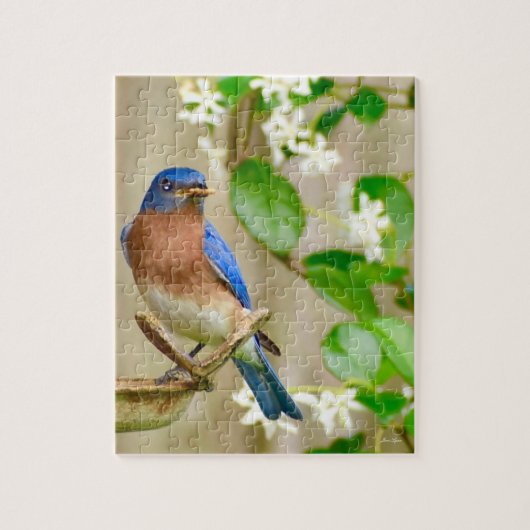 Blauwvogelpuzzel "Vroege vogel krijgt de worm" Legpuzzel (Verticaal)