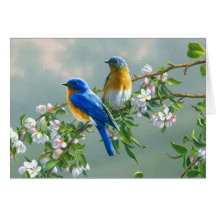 Blauwvogels