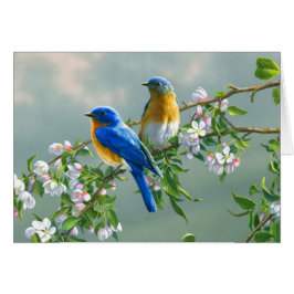 Blauwvogels