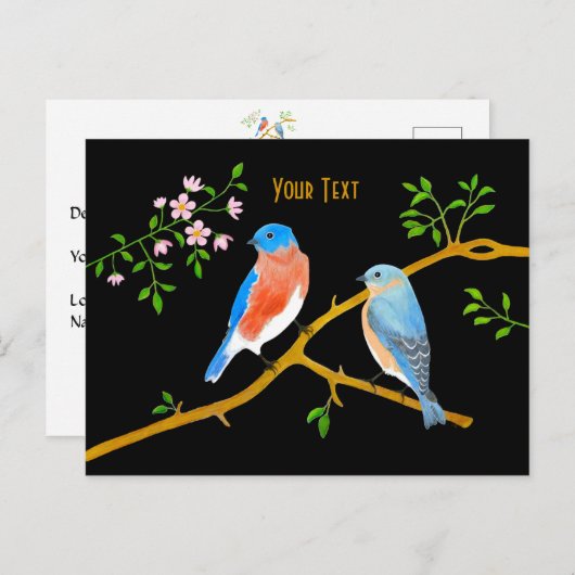 Blauwvogels Briefkaart (Voorkant / Achterkant)
