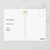 Blauwvogels Briefkaart (Achterkant)