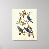 Blauwvogels en Warbler, Amerikaanse vogels van Aud Canvas Afdruk (Voorkant)