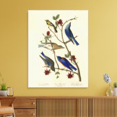 Blauwvogels en Warbler, Amerikaanse vogels van Aud Canvas Afdruk (Insitu (Woonkamer))