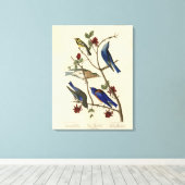 Blauwvogels en Warbler, Amerikaanse vogels van Aud Canvas Afdruk (Insitu (Houten vloer))