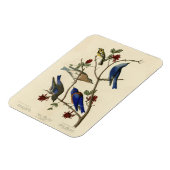 Blauwvogels en Warbler, Amerikaanse vogels van Aud Magneet (Linkerzijde)