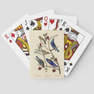 Blauwvogels en Warbler, Amerikaanse vogels van Aud Pokerkaarten