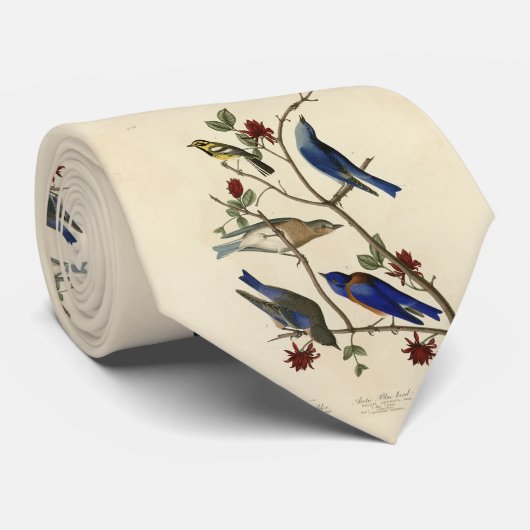 Blauwvogels en Warbler, Amerikaanse vogels van Aud Stropdas (Opgerold)