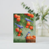Blauwvogels in een boomgaard briefkaart (Staand voorkant)