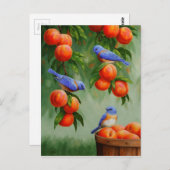 Blauwvogels in een boomgaard briefkaart (Voorkant / Achterkant)