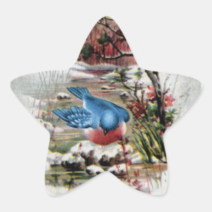 Blauwvogels in Winter Vintage Kerstmis Ster Sticker