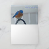 Blauwvogels Kaart (Binnen)