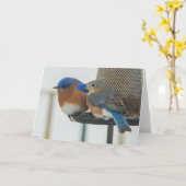 Blauwvogels Kaart (Gele Bloem)