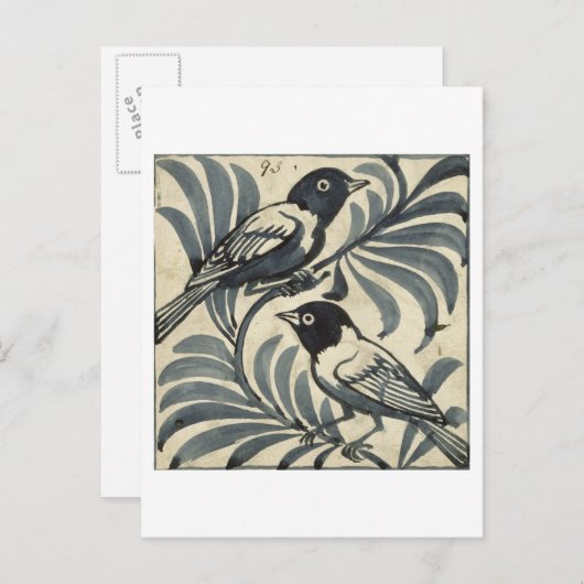 Blauwvogels (m/v op papier) briefkaart (Voorkant / Achterkant)