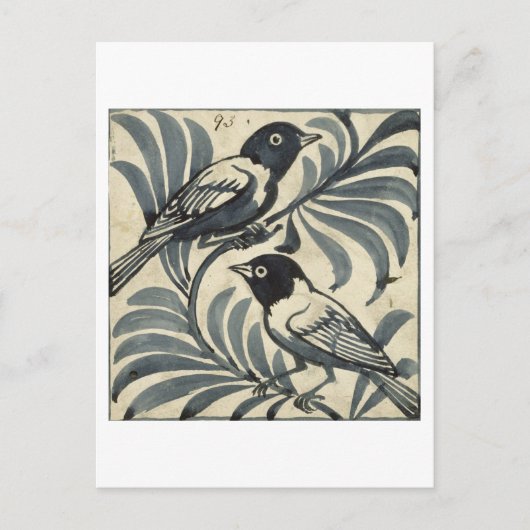 Blauwvogels (m/v op papier) briefkaart (Voorkant)