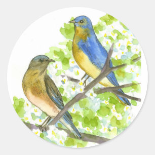 Blauwvogels meidoornboom bloeiende voorjaarsbloem ronde sticker