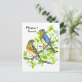 Blauwvogels meidoornboom Missouri State Bird Briefkaart (Staand voorkant)