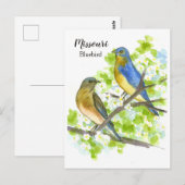 Blauwvogels meidoornboom Missouri State Bird Briefkaart (Voorkant / Achterkant)