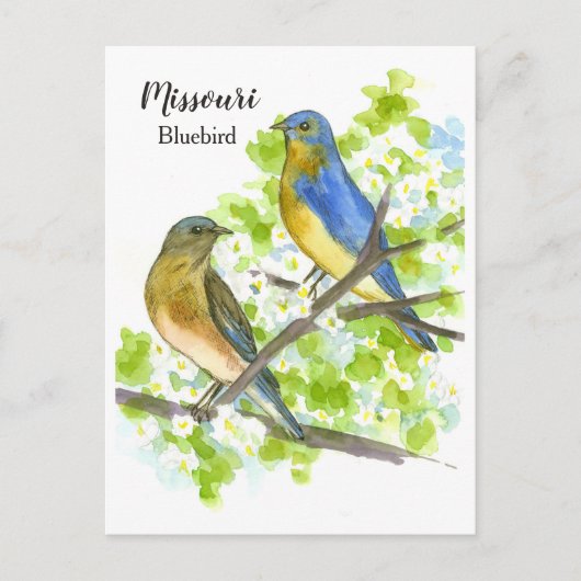 Blauwvogels meidoornboom Missouri State Bird Briefkaart (Voorkant)