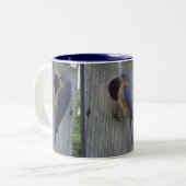 Blauwvogels op Mok (Voorkant links)