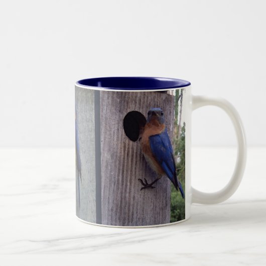 Blauwvogels op Mok (Rechts)