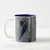 Blauwvogels op Mok (Links)