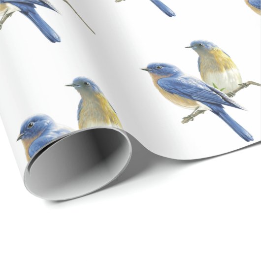 Blauwvogels op wit cadeaupapier (Rol Hoek)