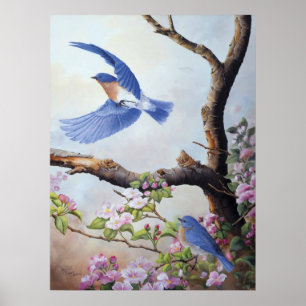 "Blauwvogels" UV Canvas Printes Poster