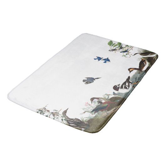 Blauwvogels vogels in het wild levende dieren met  badmat (Gekanteld)