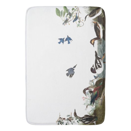 Blauwvogels vogels in het wild levende dieren met  badmat (Voorkant Verticaal)