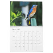Blauwvogels wandkalender kalender (Mar 2026)