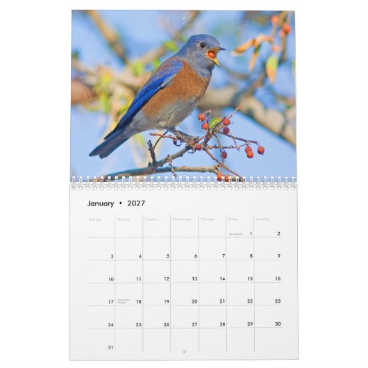 Blauwvogels wandkalender kalender (Jan 2027)