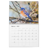 Blauwvogels wandkalender kalender (Feb 2027)