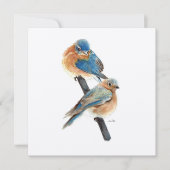 Blauwvogels Waterverf kunst (Voorkant)