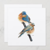 Blauwvogels Waterverf kunst (Voorkant / Achterkant)