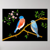 Blauwvogels zwart poster (Voorkant)