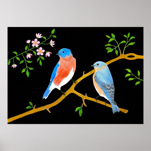 Blauwvogels zwart poster (Voorkant)