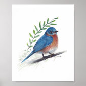 Blauwvogelschilderkunst afdrukken poster (Voorkant)