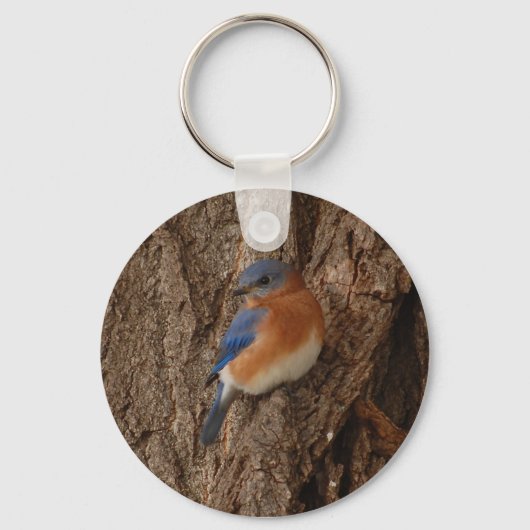 BlauwvogelSleutelhanger Sleutelhanger (Voorkant)