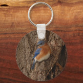 BlauwvogelSleutelhanger Sleutelhanger (Voorkant)